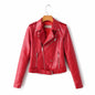 autumn and winter women's clothing coat Korean version of the Korean version of women's leather jacket fashion women's clothing wholesale