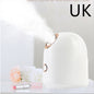 Beauty Steamer