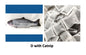 Without Cat Nip Version - Electric Jumping Fish Simulation Electric Fish Toy